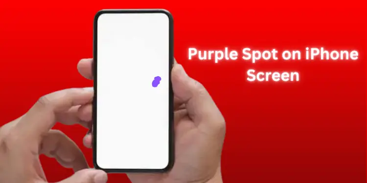 Purple Spot on iPhone Screen [Fixed with Easy Steps 2024]
