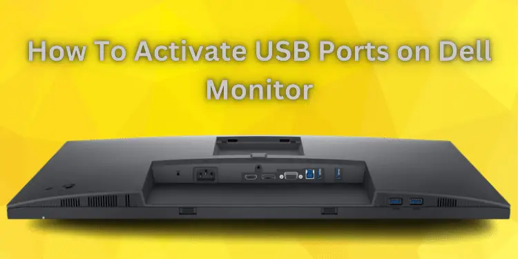 How To Activate USB Ports on Dell Monitor [Quick Steps 2024]