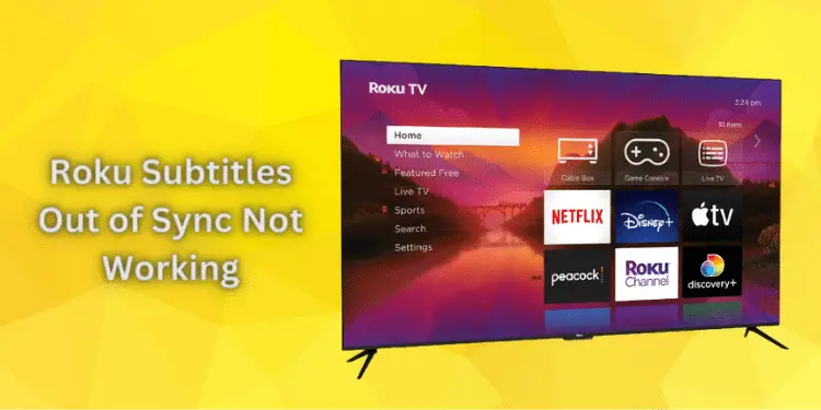 Roku Subtitles Out of Sync Not Working [Quick Methods 2024]
