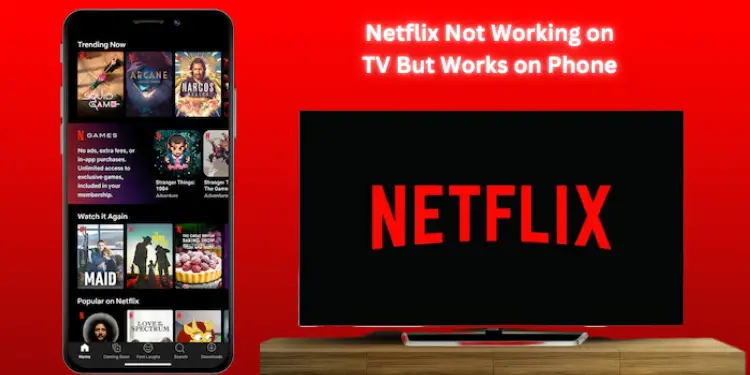 Netflix Not Working on TV But Works on Phone [Fixed 2024]