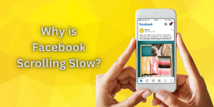 Why is Facebook Scrolling Slow? [Fixed with Easy Steps 2024] 