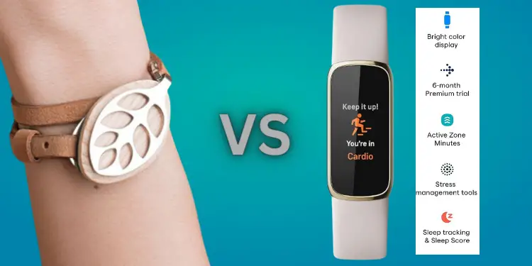 Bellabeat on hand vs Fitbit