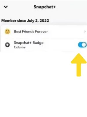 Enable the Snapchat+ Badge