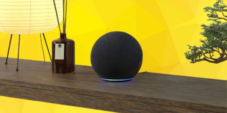 Alexa Echo on table