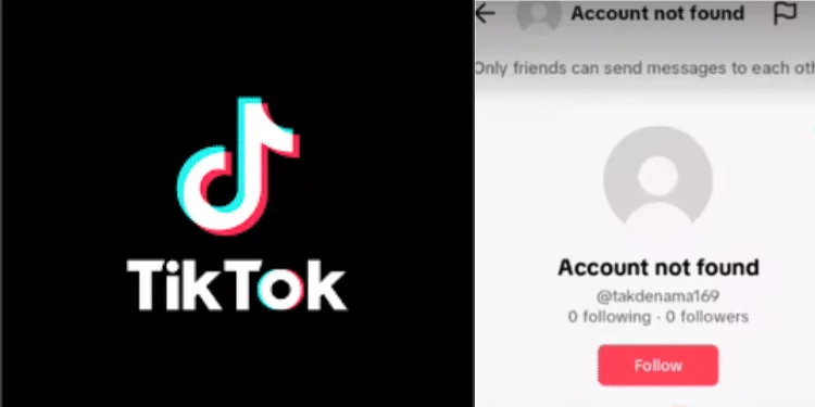 Tiktok Account Not Found